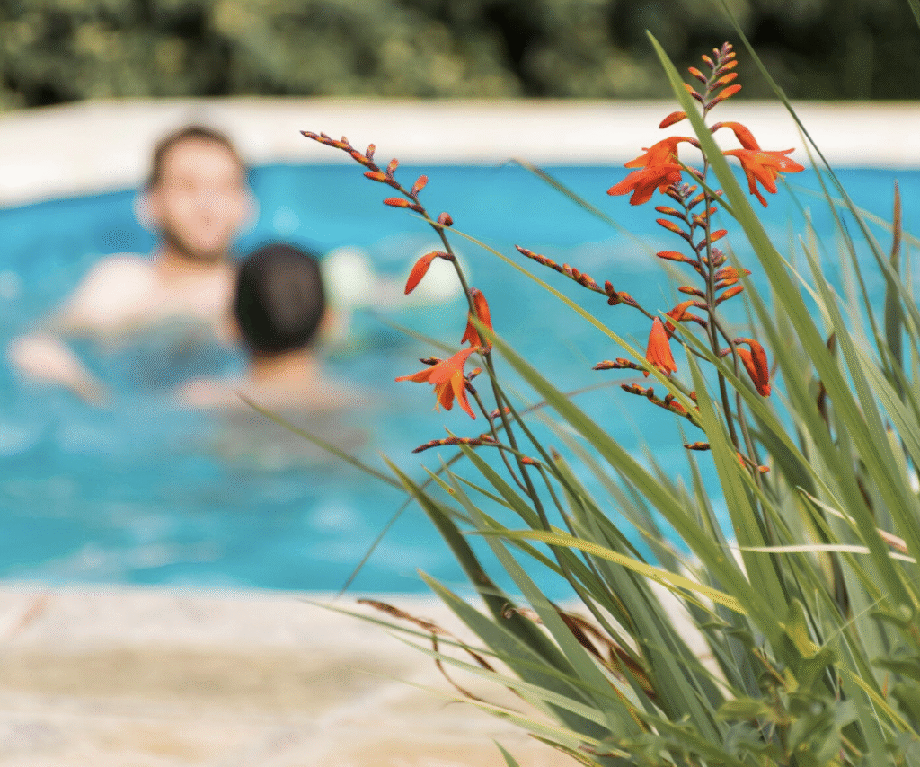 administradores-de-fincas-servicios-jardineria-piscinas-gestion-donostia-san-sebastian-018